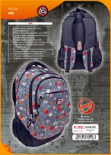 Katalog Plecaki, Pirniki, Sport    36